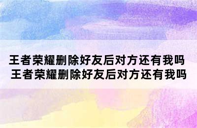 王者荣耀删除好友后对方还有我吗 王者荣耀删除好友后对方还有我吗